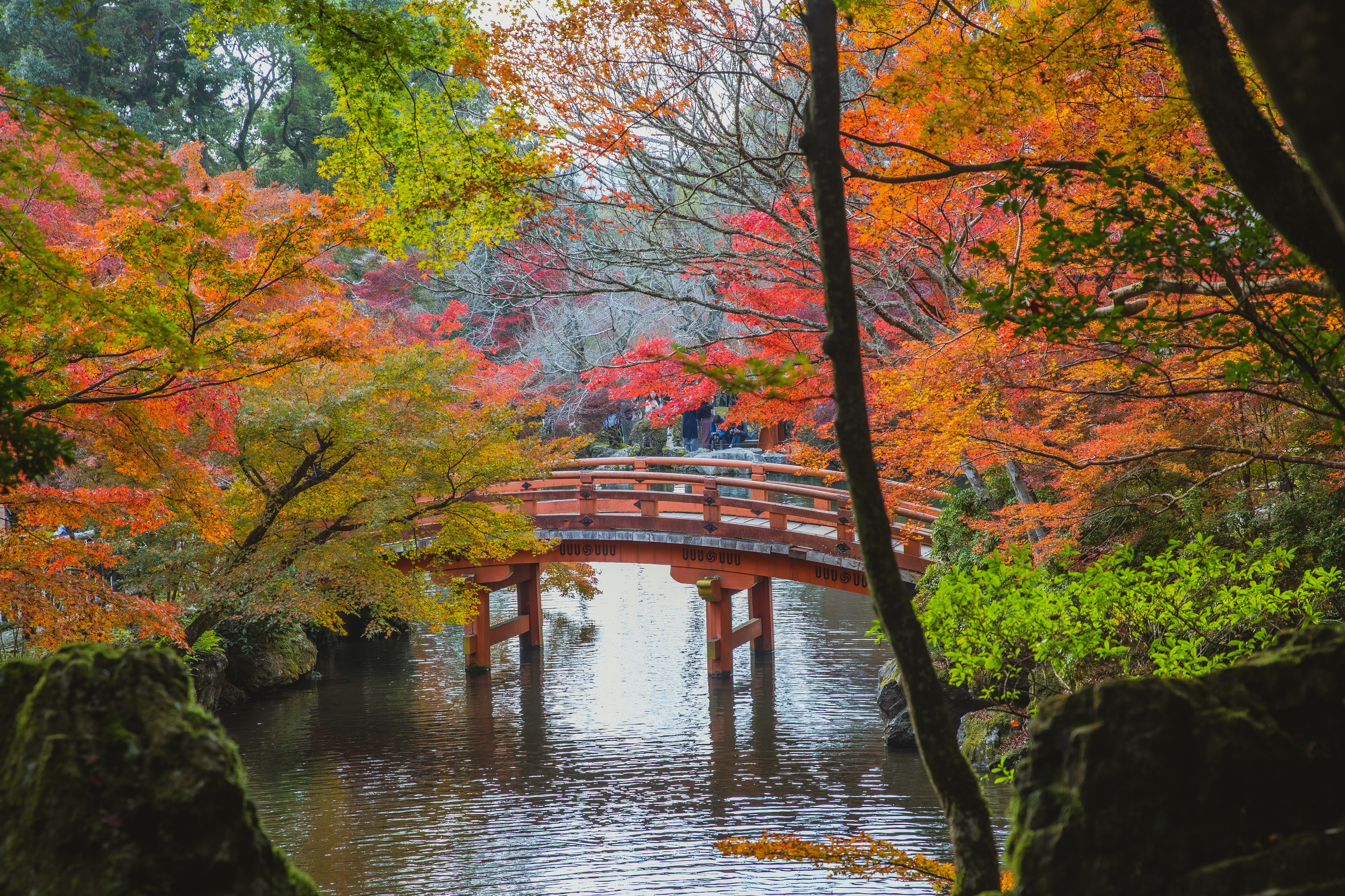 automne